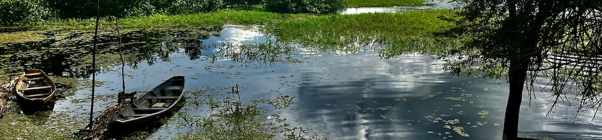 WordWinds International